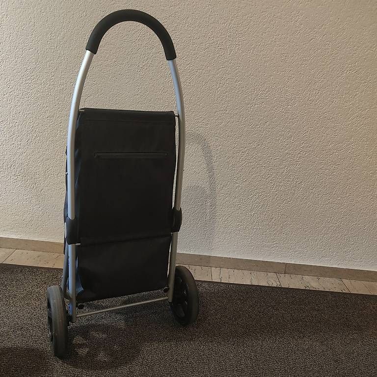 Altro per la casa: Carrello per la spesa 25 kg – Usato da Losone venduto da mar_n5ds 1
