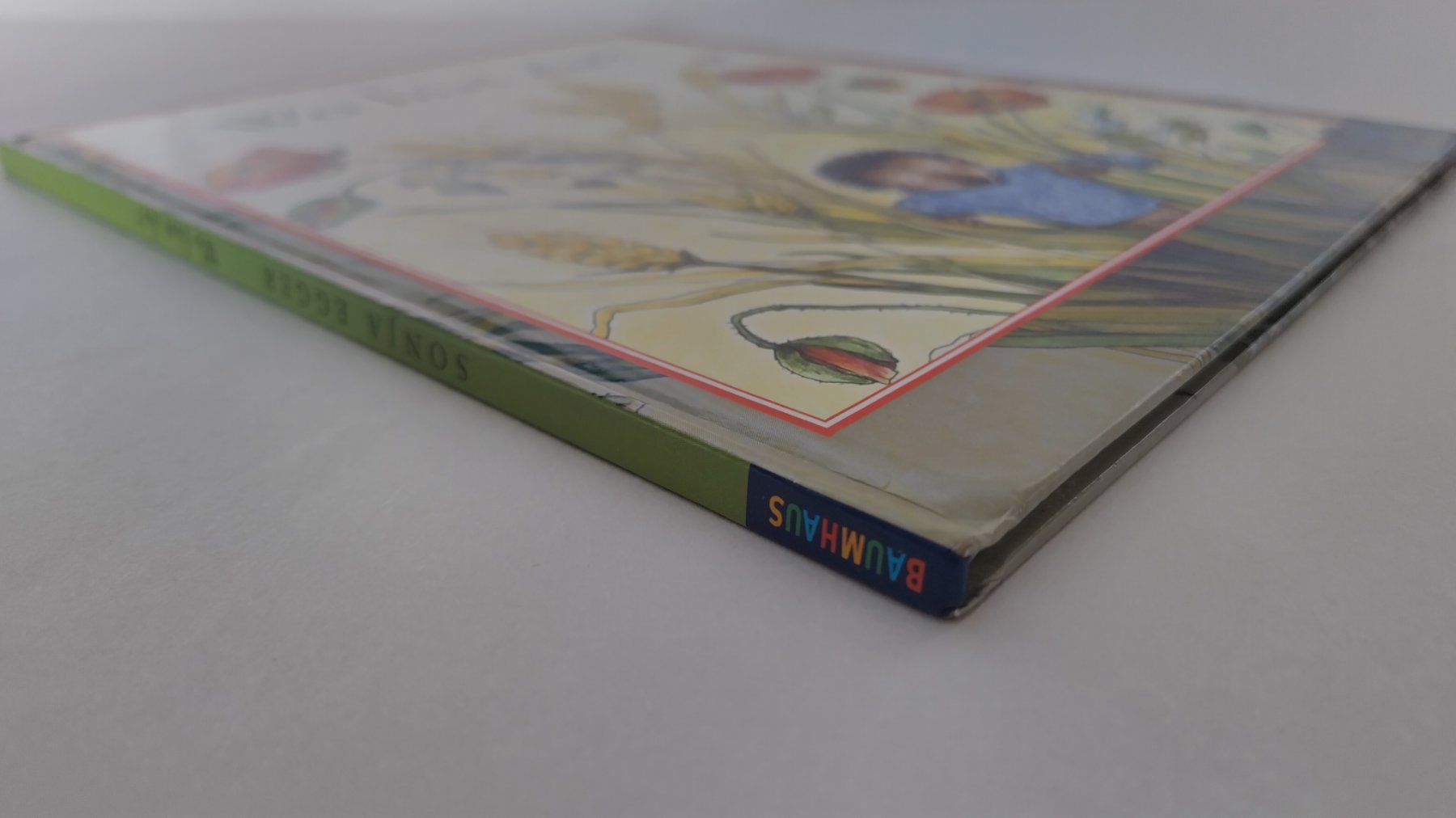 Libri: Wo bist du? / Bilderbuch 2004 ab Fr. 8.- / 2 Anfänge – Usato da Bellach venduto da JingleJerry 1