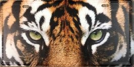 Tiger Augen Blechschild Metallschild Katze Raubkatze Safari