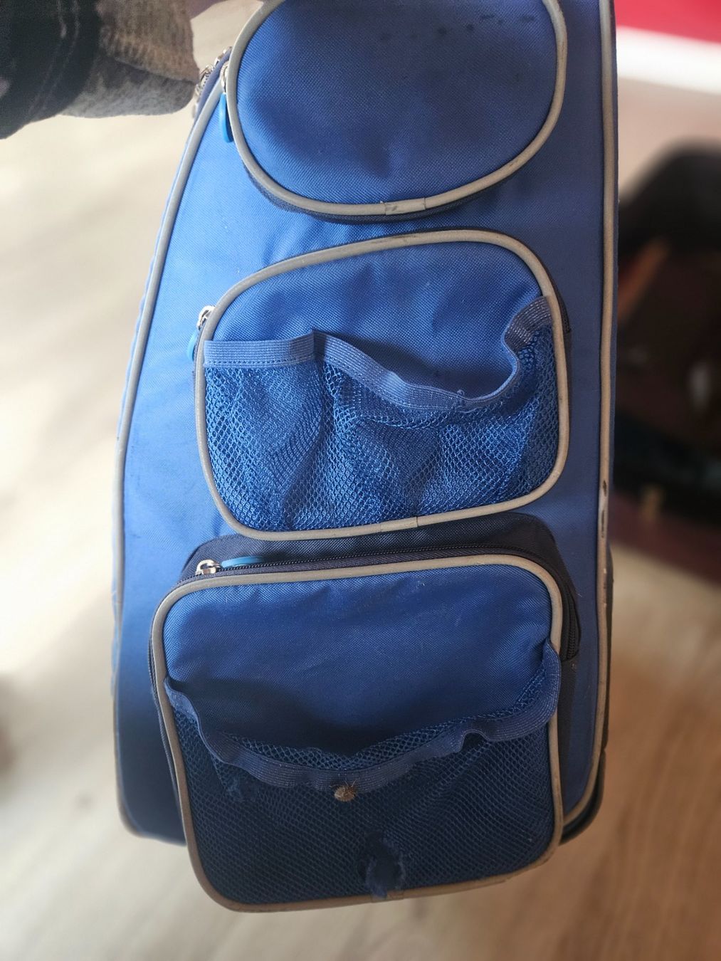 Jako-O Valigie: Jakoo Trolley / Schultrolley, blau, gebraucht – Usato da Biberist venduto da cal_9tcf 4