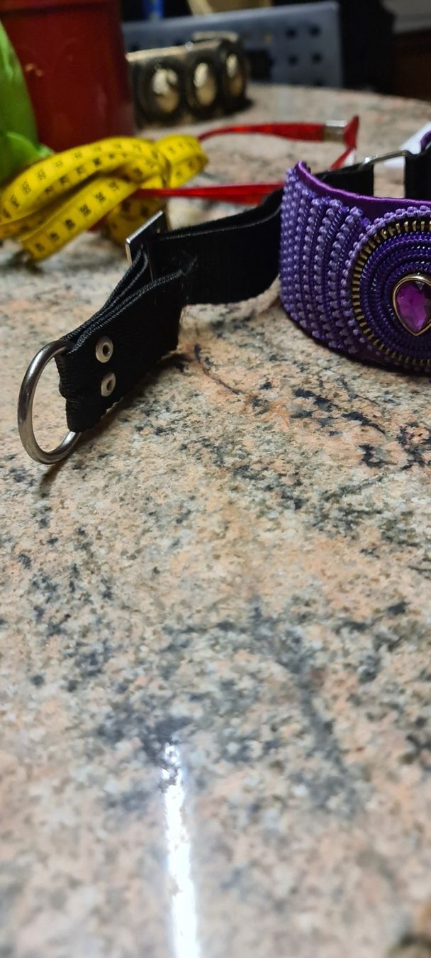 Guinzagli & Collari: Windhund Halsband – Usato da Bellerive VD venduto da Hermes5 5