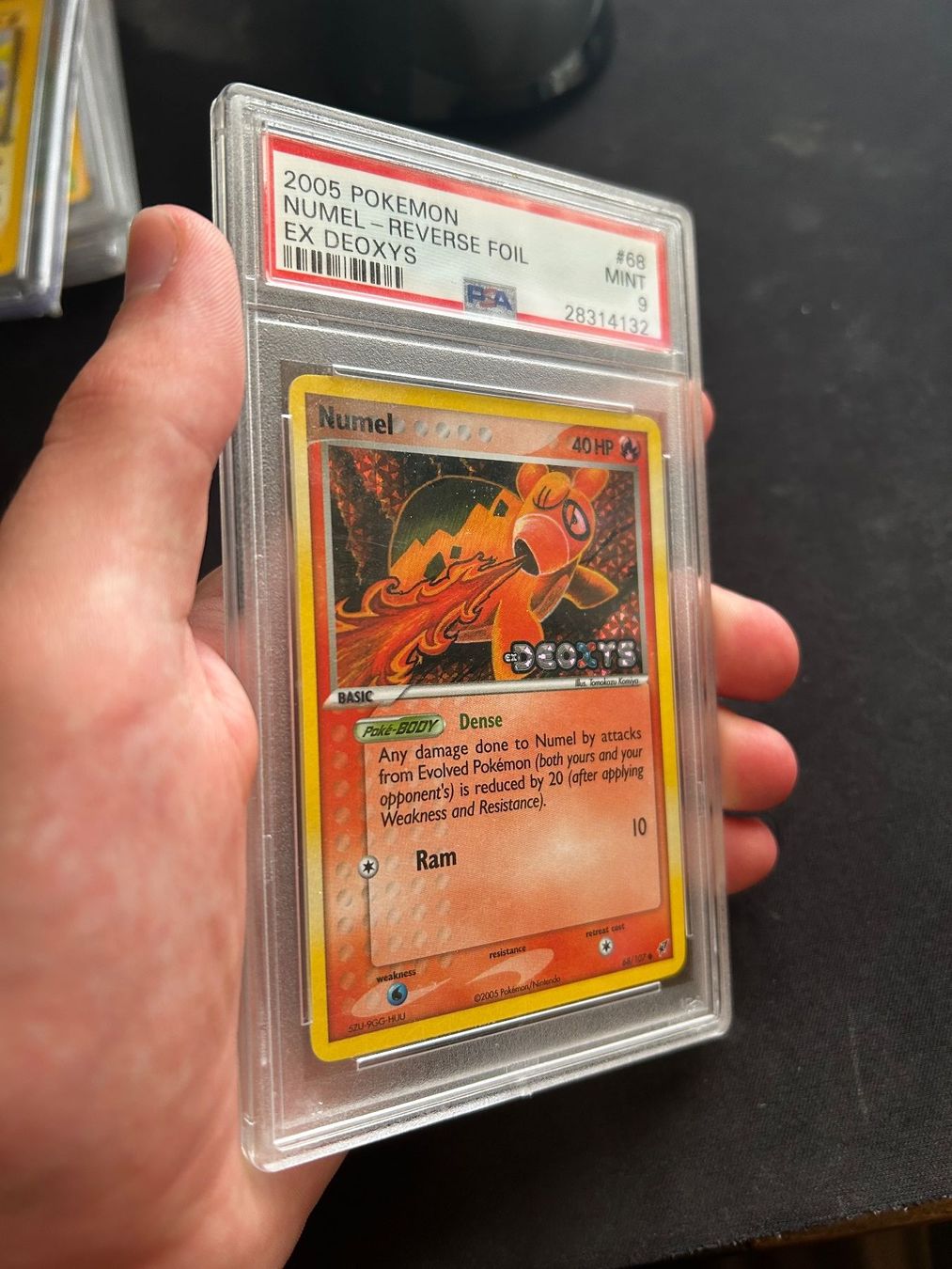 Pokémon Carte collezionabili: PSA 9 - Numel Reverse Foil - Ex deoxys ENGLISH – Usato da Büsserach venduto da Cyr-cyr 1