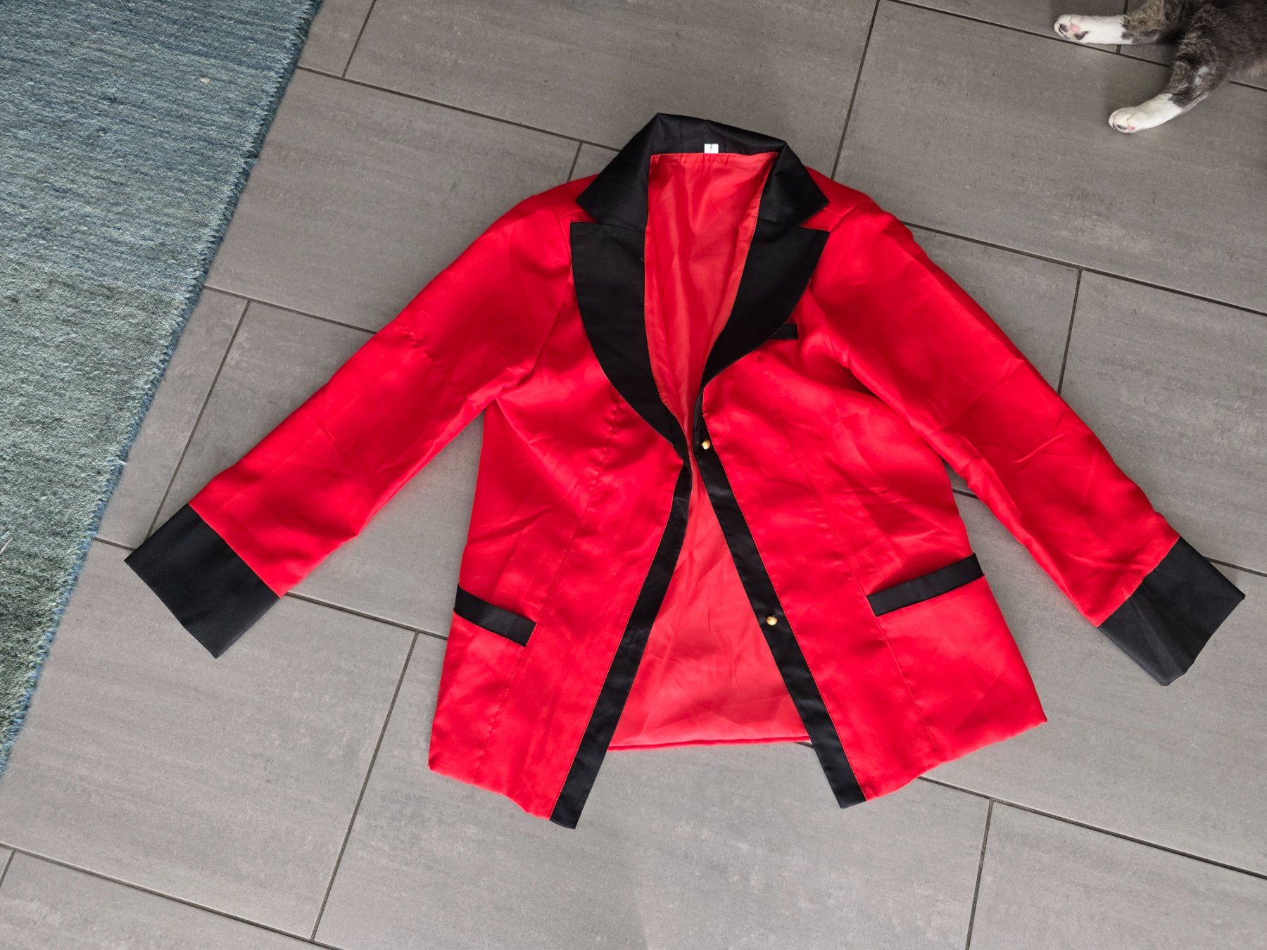 Costumi: Cosplay Kostüm – Usato da Kollbrunn venduto da Rhoneymoon 1
