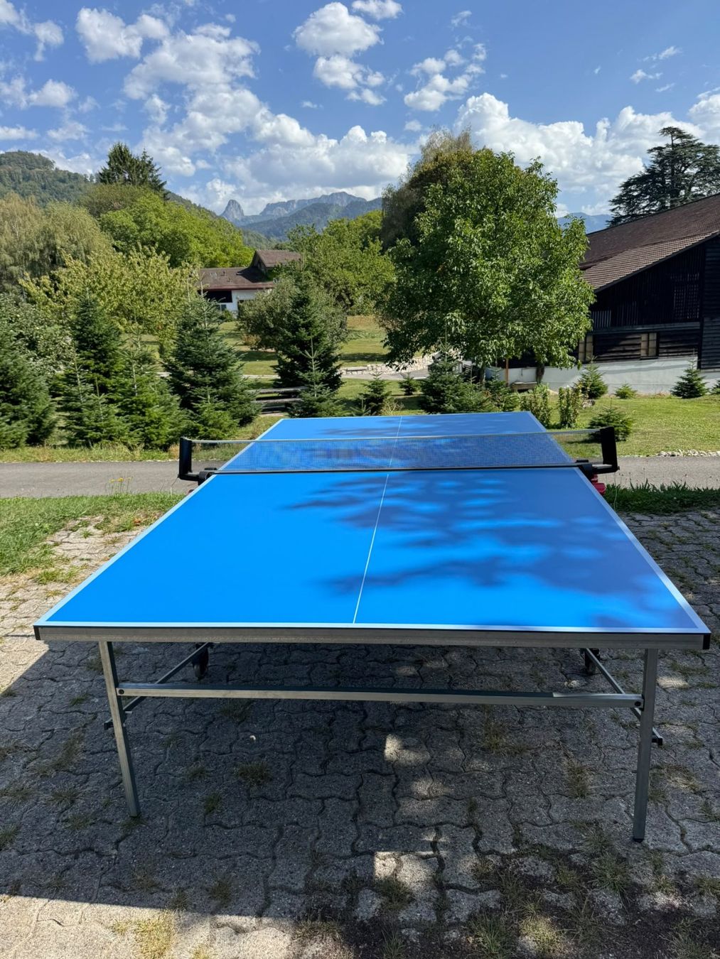 Decathlon Tennis da tavolo: Table de ping-pong Artengo – Usato da St Legier La Chiesaz venduto da pgjudd 6