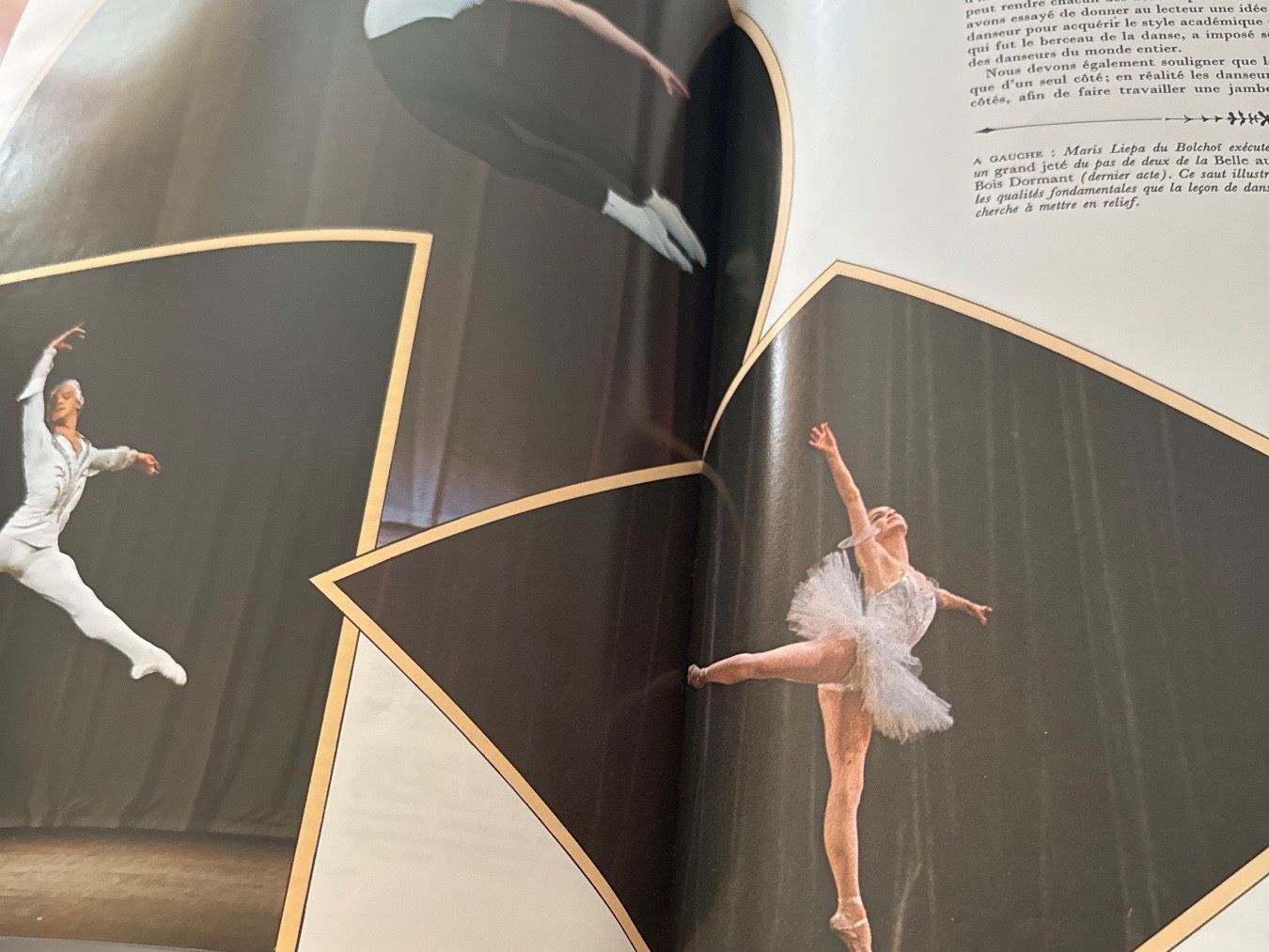 Libri: Livre la passion de la danse – Usato da moudon venduto da jaunejaunelapinjaune 3