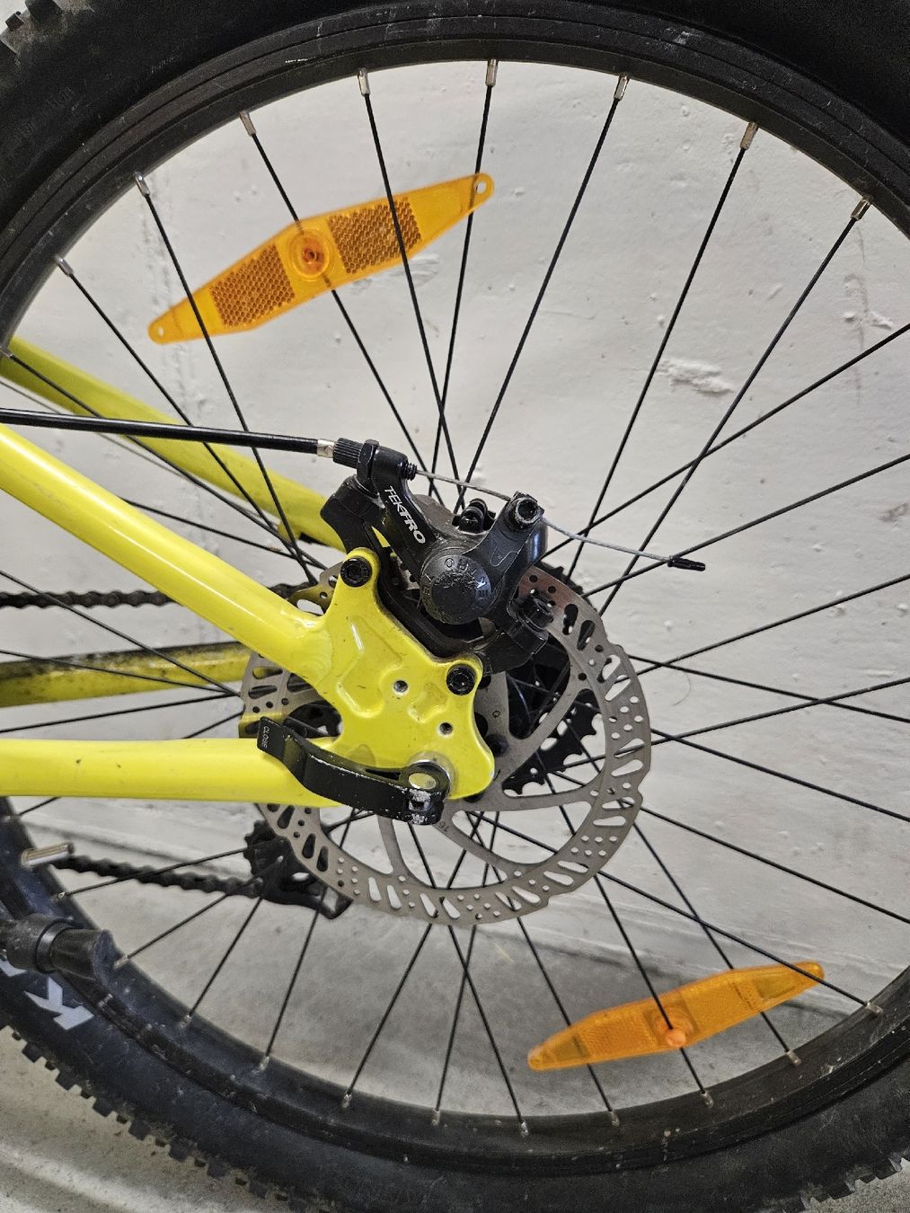 Scott Biciclette: Scott Scale 24 Disc gelb – Usato da Uerzlikon venduto da mablatter 1
