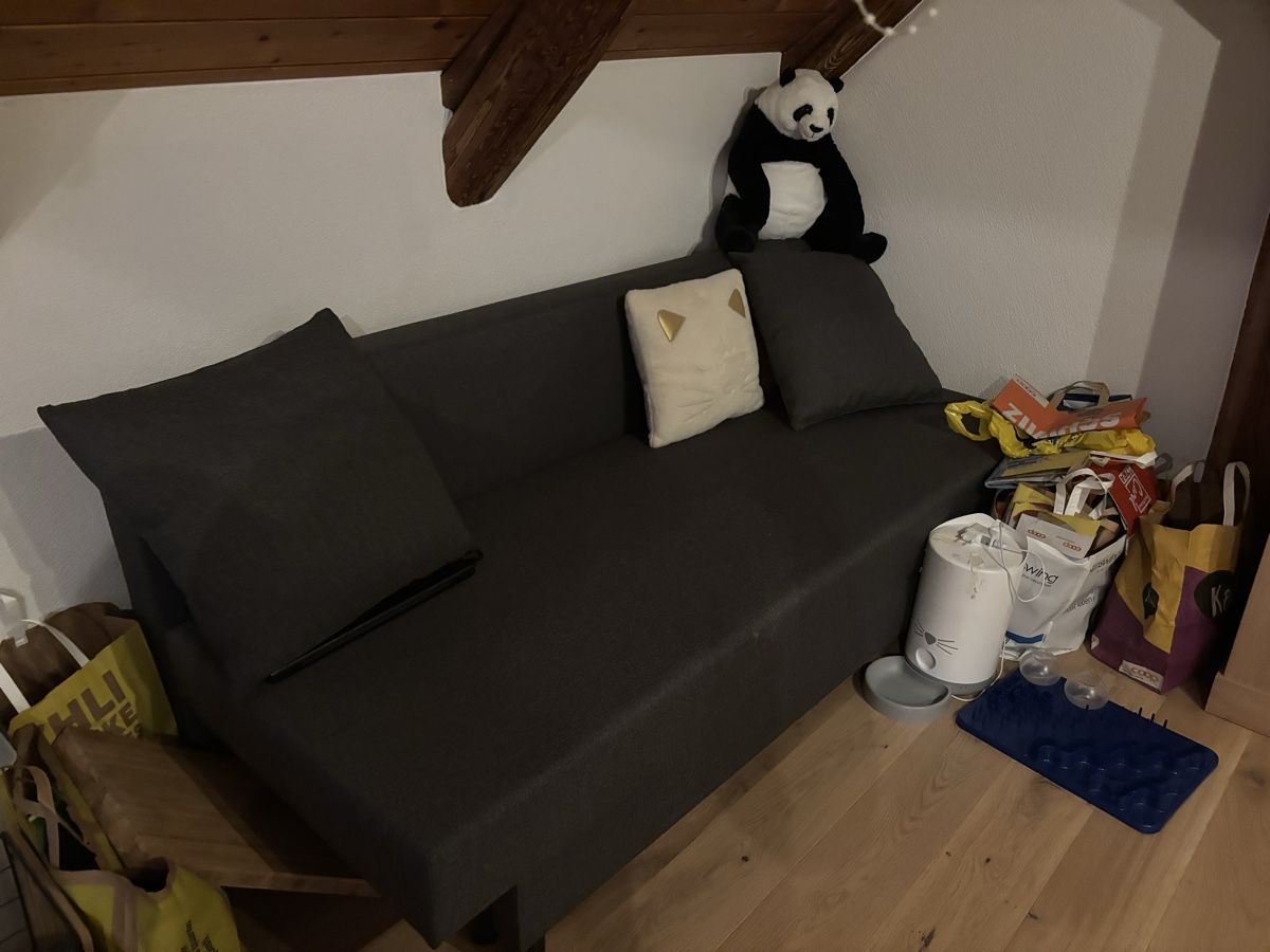 Ikea Divani: Schlafsofa grau guter Zustand – Usato da Bäretswil venduto da sha_t5rq