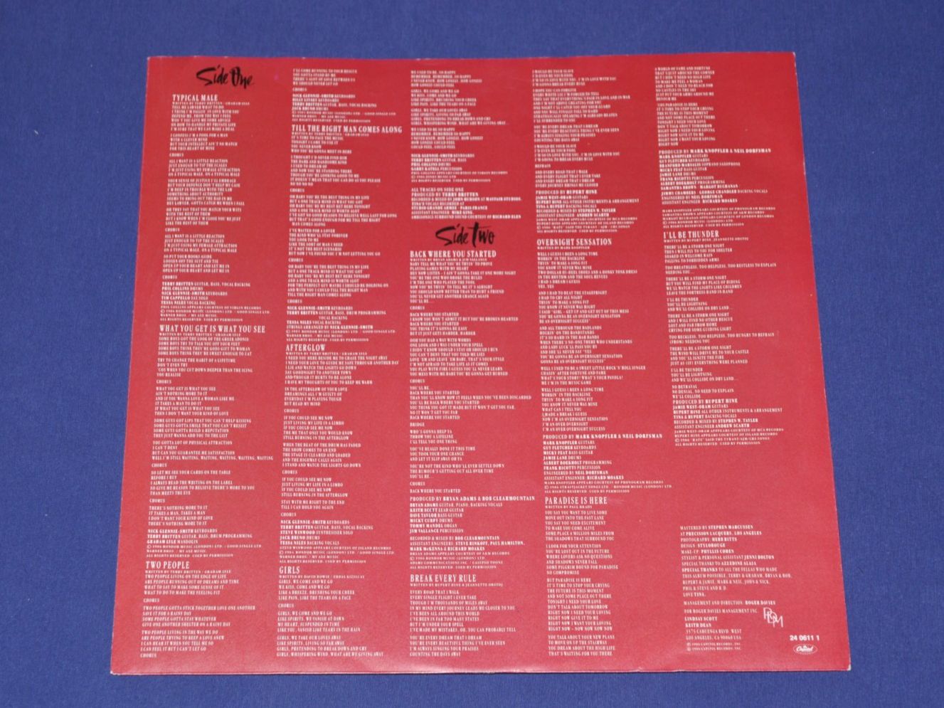 Schallplatten: LP Tina Turner - Break Every Rule – Gebraucht aus Boll von Theodora15 2