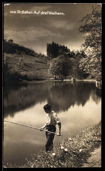 Cartes postales: AK St. Gallen, Auf drei Weihern – D'occasion à Berlin par bartko-reher