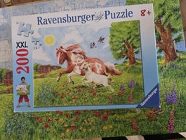 Ravensburger Puzzle 200 Teile XXL Pferde in gutem zustand