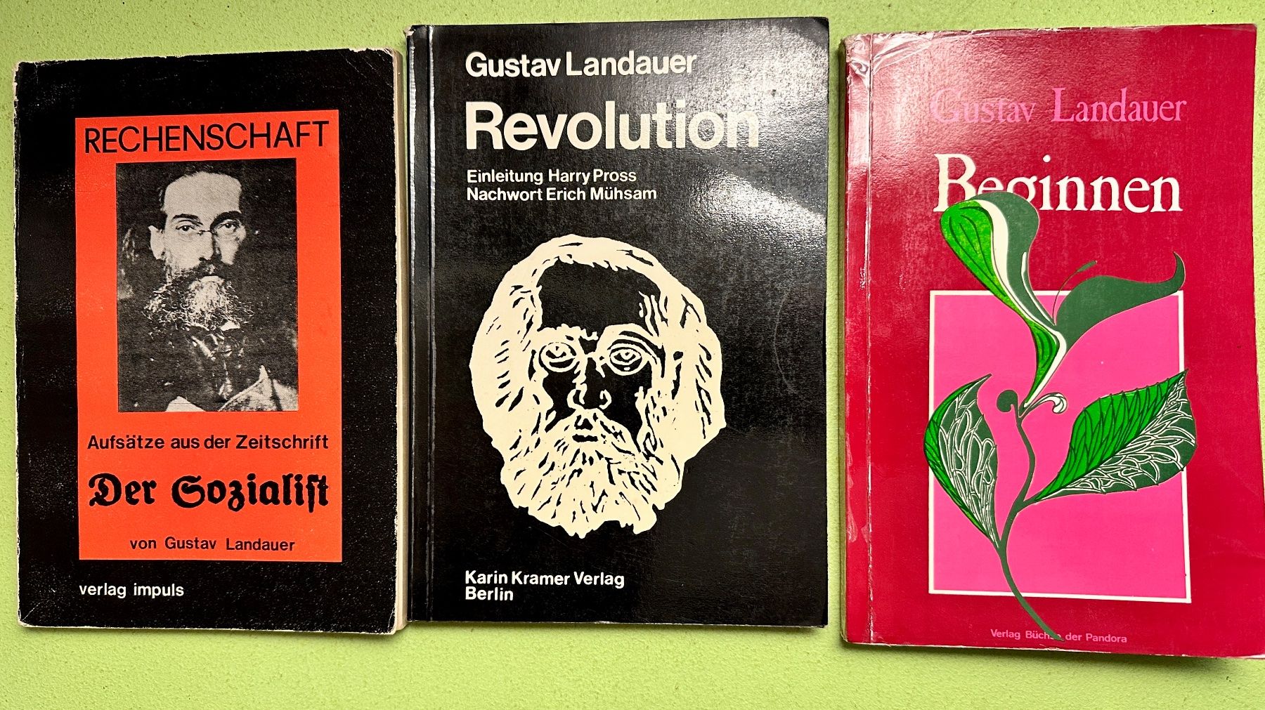 Libri: Bücherpaket Gustav Landauer 7 Bde. – Usato da Zürich venduto da allp