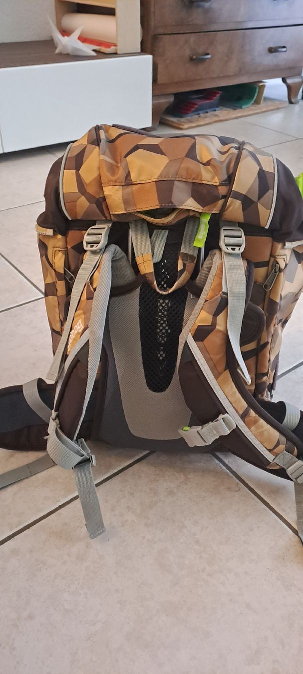 Ergobag Sacs & sacs à dos: Ergobag Schulsack – D'occasion à gümmenen par flower124 1
