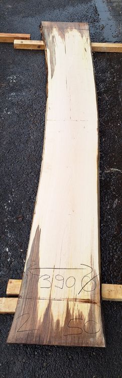 Articoli in legno: Nussbaumbrett 50mm – Nuovo (secondo la descrizione) da Waldkirch venduto da bauprofi87 1