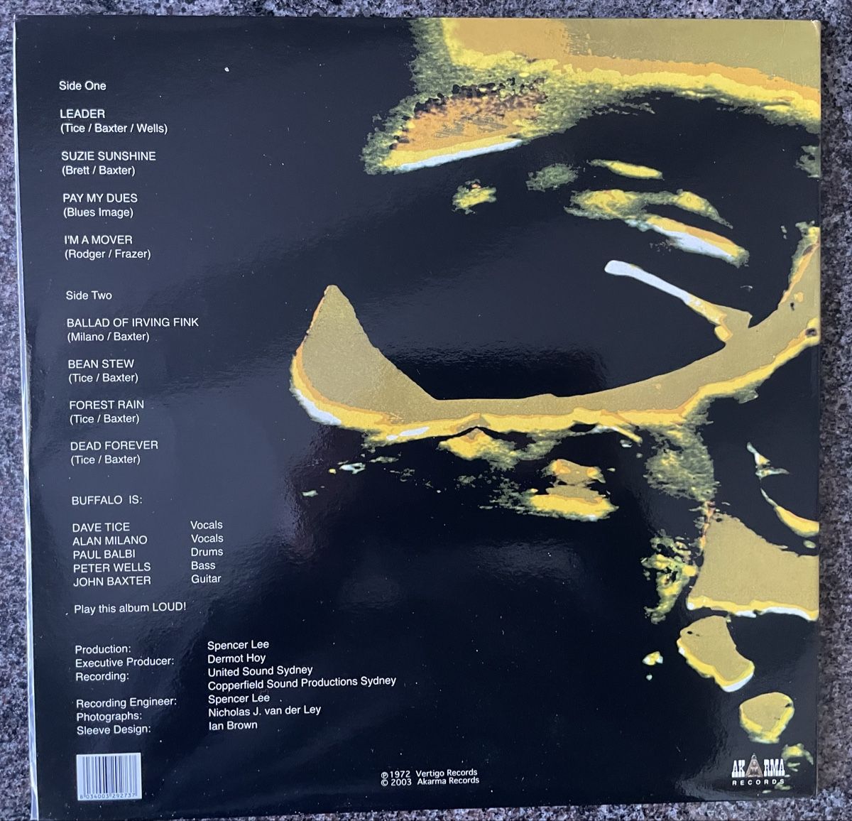Vinyles: Buffalo - Dead Forever - AKARMA Vinyl LP – D'occasion à Olten par Bluespapst 1