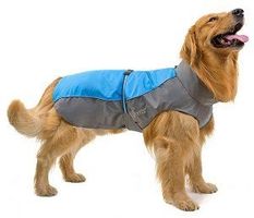 Hunde Regenmantel S