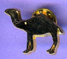 CAMEL  
