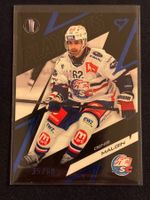 Denis Malgin ZSC 35/60 Playoff