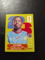 Panini FIFA World Cup 2026 COD 12