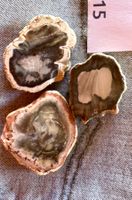 3x  Fossilien versteinertes Holz  Geschenk Idee   Madagaskar