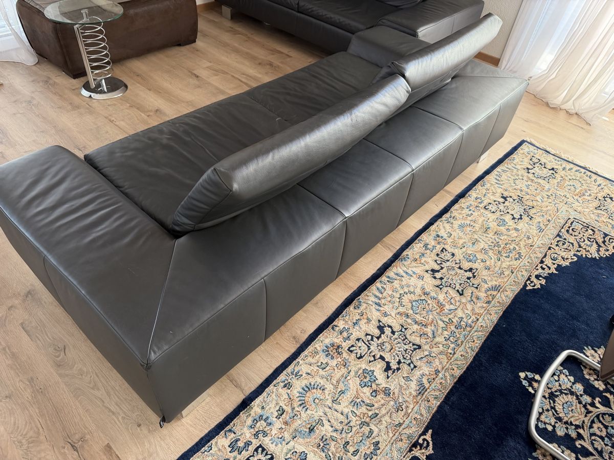 Sofas: Bullfrog Designersofa in Leder – Gebraucht aus Mauren von dej_j6f5 2