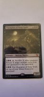 MTG - Champion of Stray Souls
