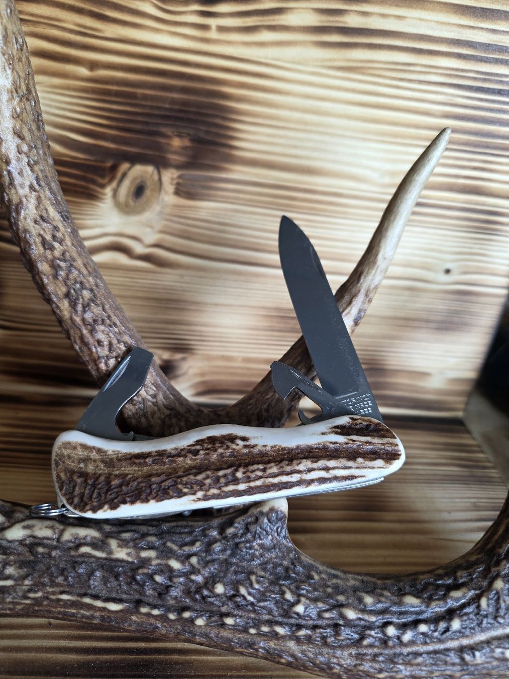 Victorinox Couteaux de poche: Victorinox Sackmesser mit Horngriff – Neuf (Voir description) à Trimmis par leonidas3