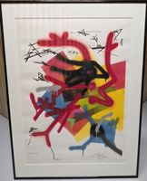 Harald Nägeli (Spreyer vo Züri) Orig. litho sign. nr.