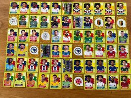 Panini WM 2026