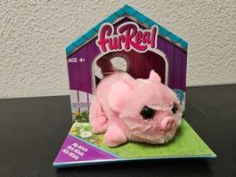Neu - Fur Real - Mini Schwein