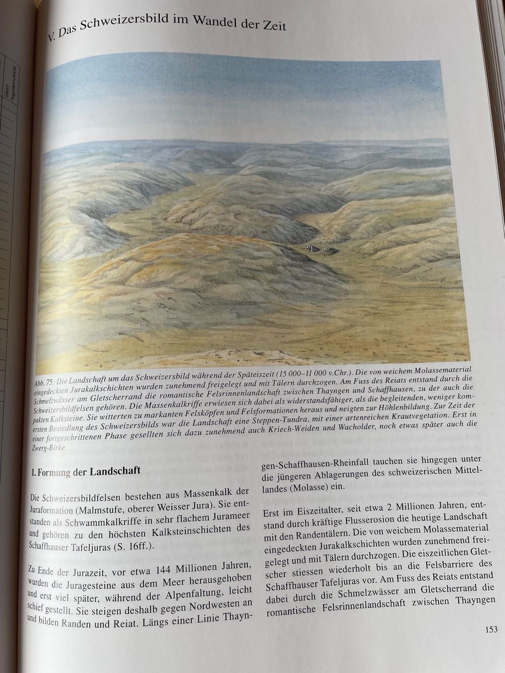 Libri: Schweizersbild - ein Jägerlager der Späteiszeit - Top! – Usato da Sent venduto da ManuelB07 7