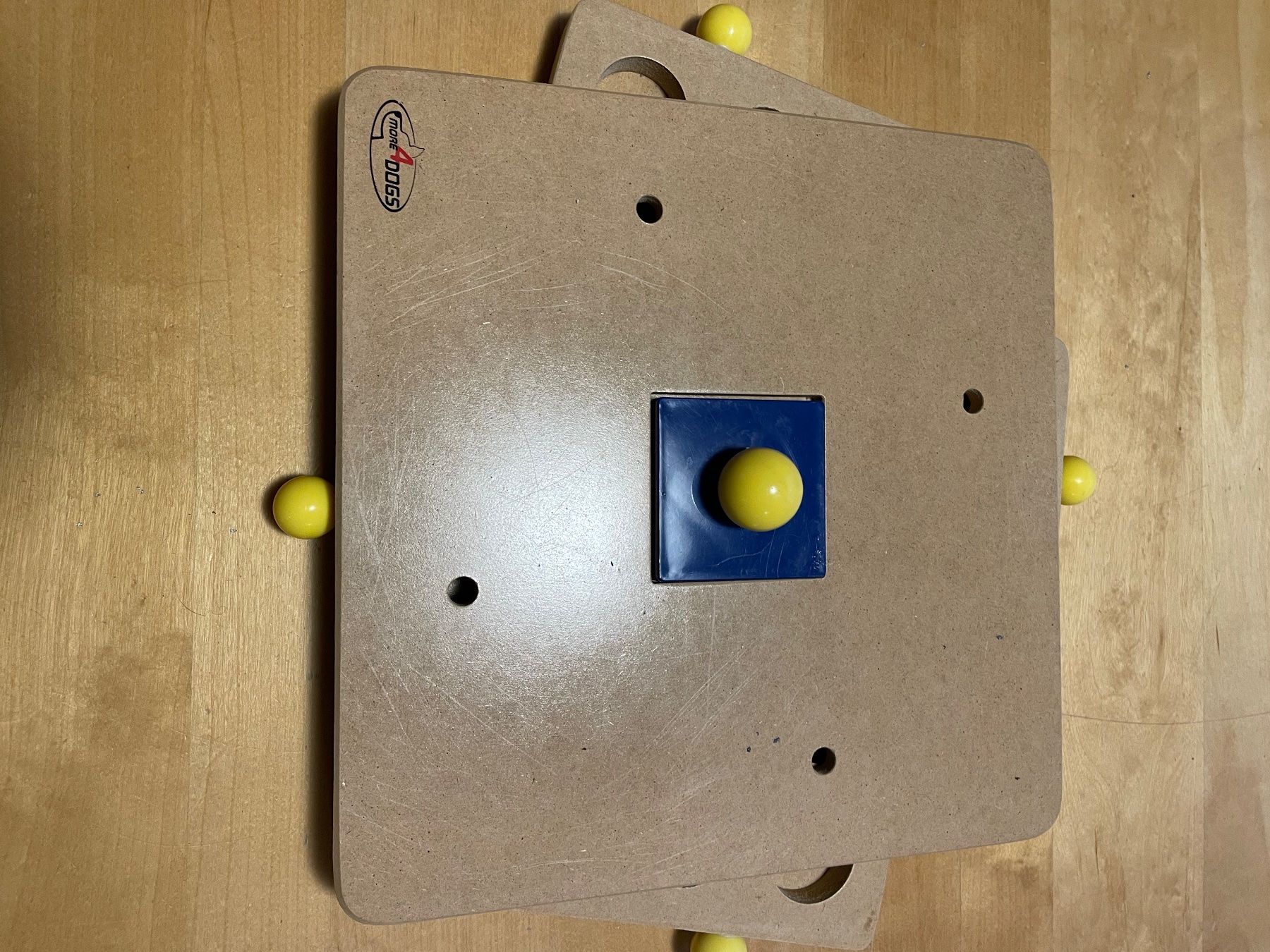 Giochi: Hunde Intelligenzspiel – Usato da Zofingen venduto da Hathoway