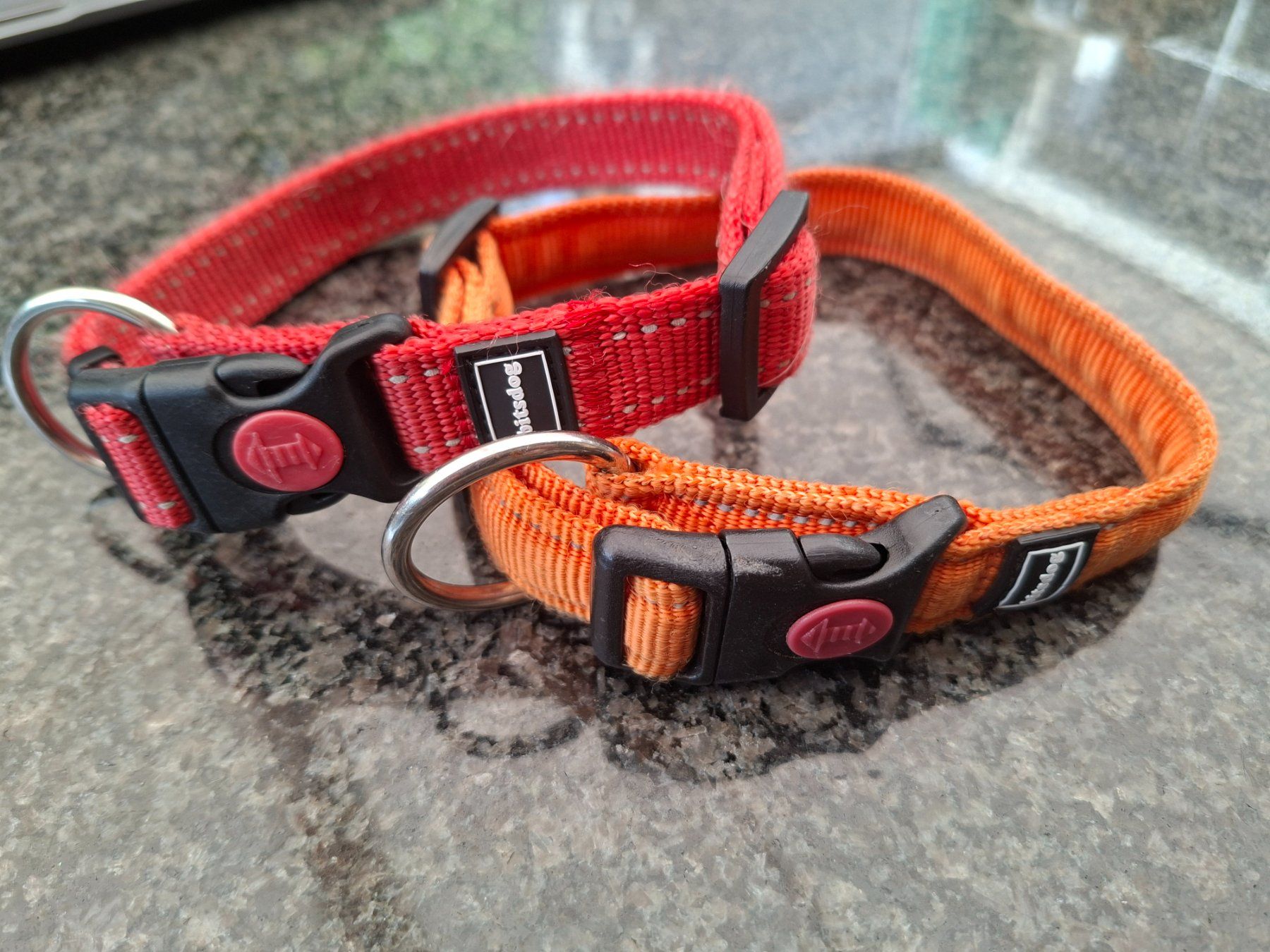 Guinzagli & Collari: Bitsdog; 2 Stk. Hundehalsband Rot & Orange / Gr. S & M – Usato da Boniswil venduto da Totomat-Lady2