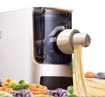 Nudelmaschine Pasta Maker Intertronic Machine à pâtes