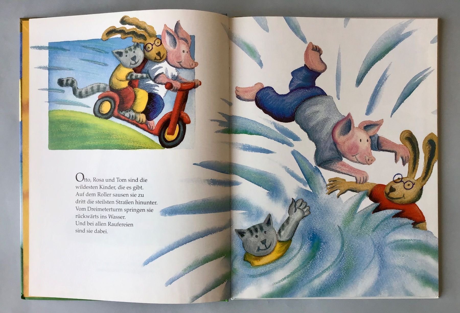 Libri: Bilderbuch: DER HONIGBÄR – Nuovo (secondo la descrizione) da Bubendorf venduto da Alpenheidi 3