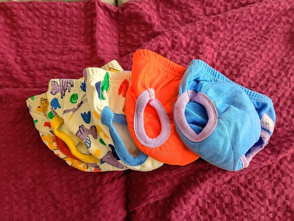 Biancheria intima: Lernunterhosen – Usato da Dielsdorf venduto da balu91