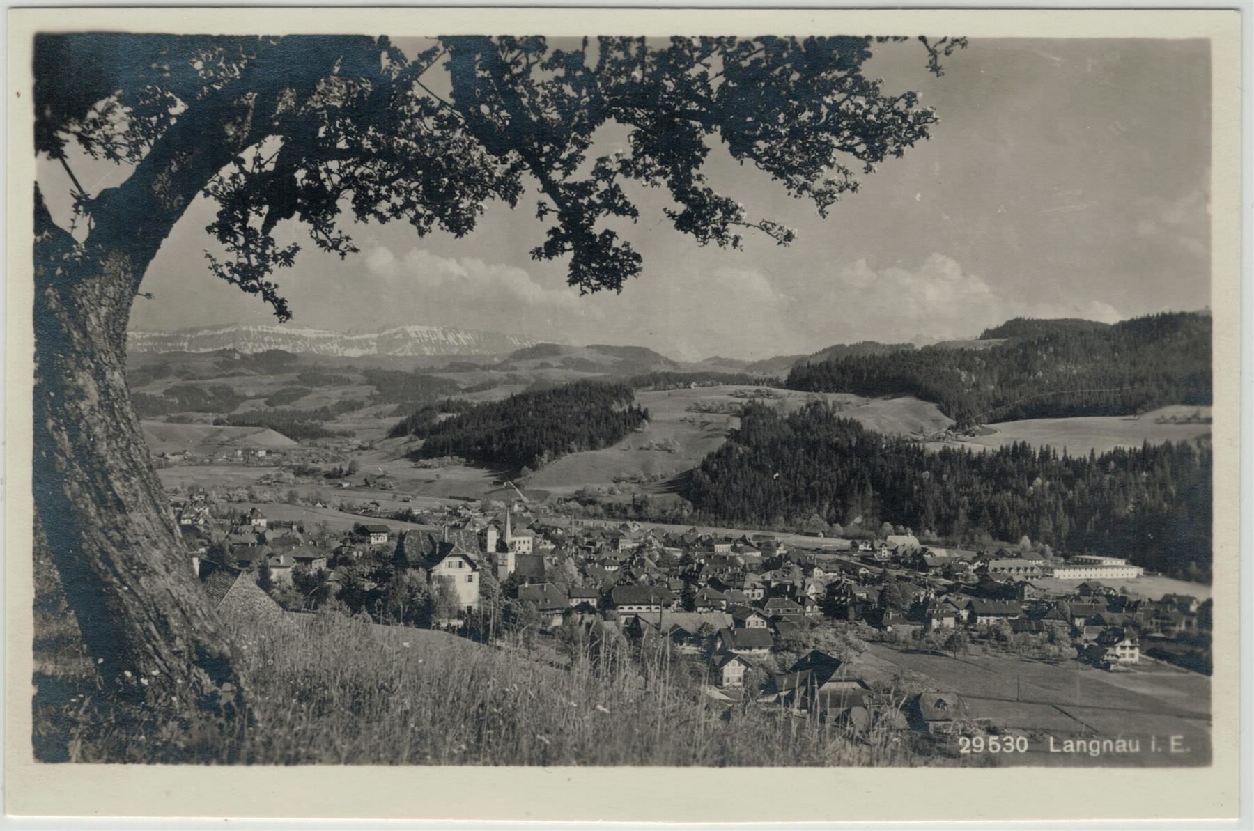 Cartoline postali: BE 236 LANGNAU i. E. 1925 – Usato da Fribourg venduto da philafri