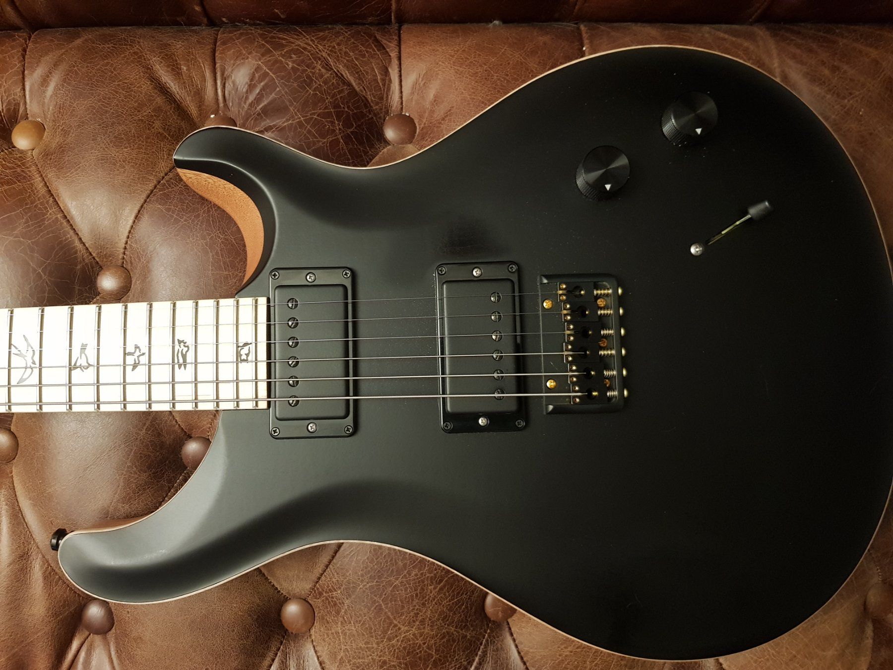 Strumenti musicali: Prs Dustie Waring – Usato da Sachseln venduto da zol_w65w 2