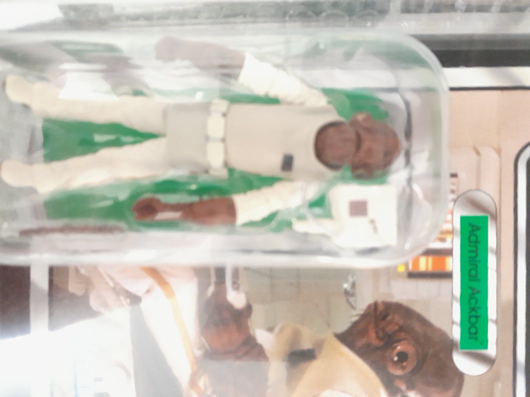 Star Wars Statuette: Star Wars Admiral Ackbar – Usato da Rüti ZH venduto da Alemanni 7