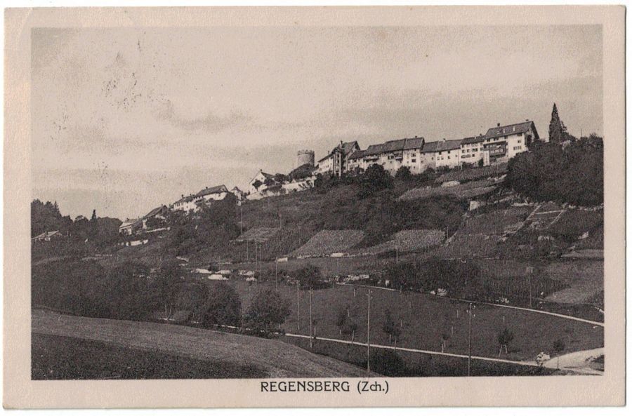 Cartoline postali: Regensberg, gelaufen 1921 – Usato da Frauenfeld venduto da POML