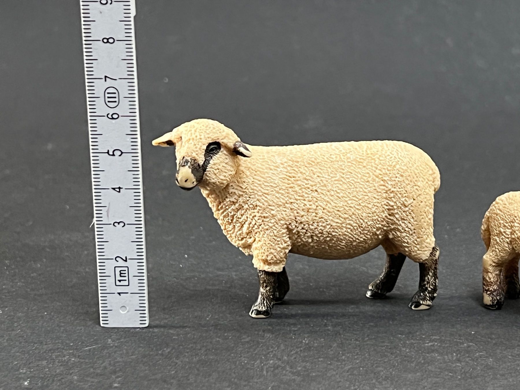Schleich Figuren: Schleich 13681 Shropshire Schaf – Gebraucht aus Ennetbaden von mapa05 1