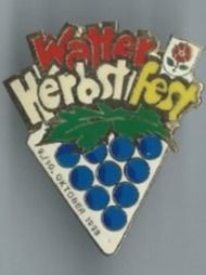 Plaketten & Abzeichen: Watter Herbstfest Pin – Gebraucht aus Zürich von t24_de