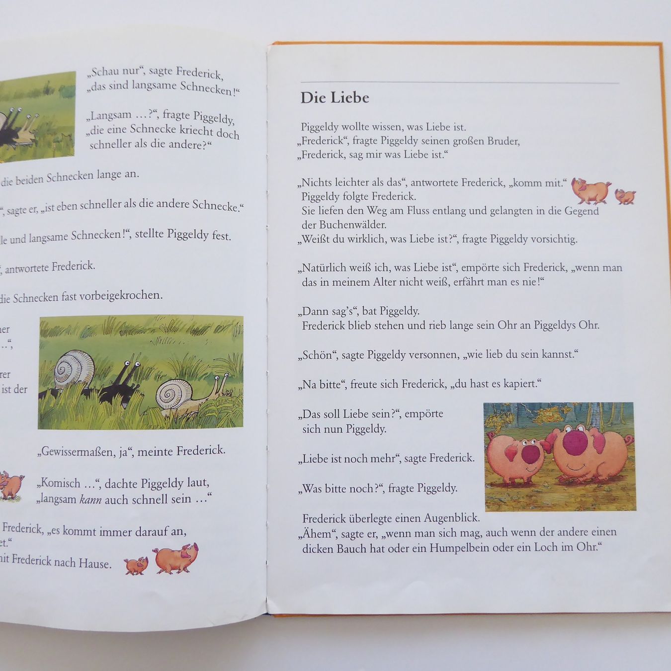 Libri: Neue Abenteuer mit Piggeldy und Frederick – Usato da Basel venduto da Kunterbunt12 6