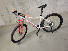 Scott Contessa 720 – Rahmengrösse L | Gepflegt