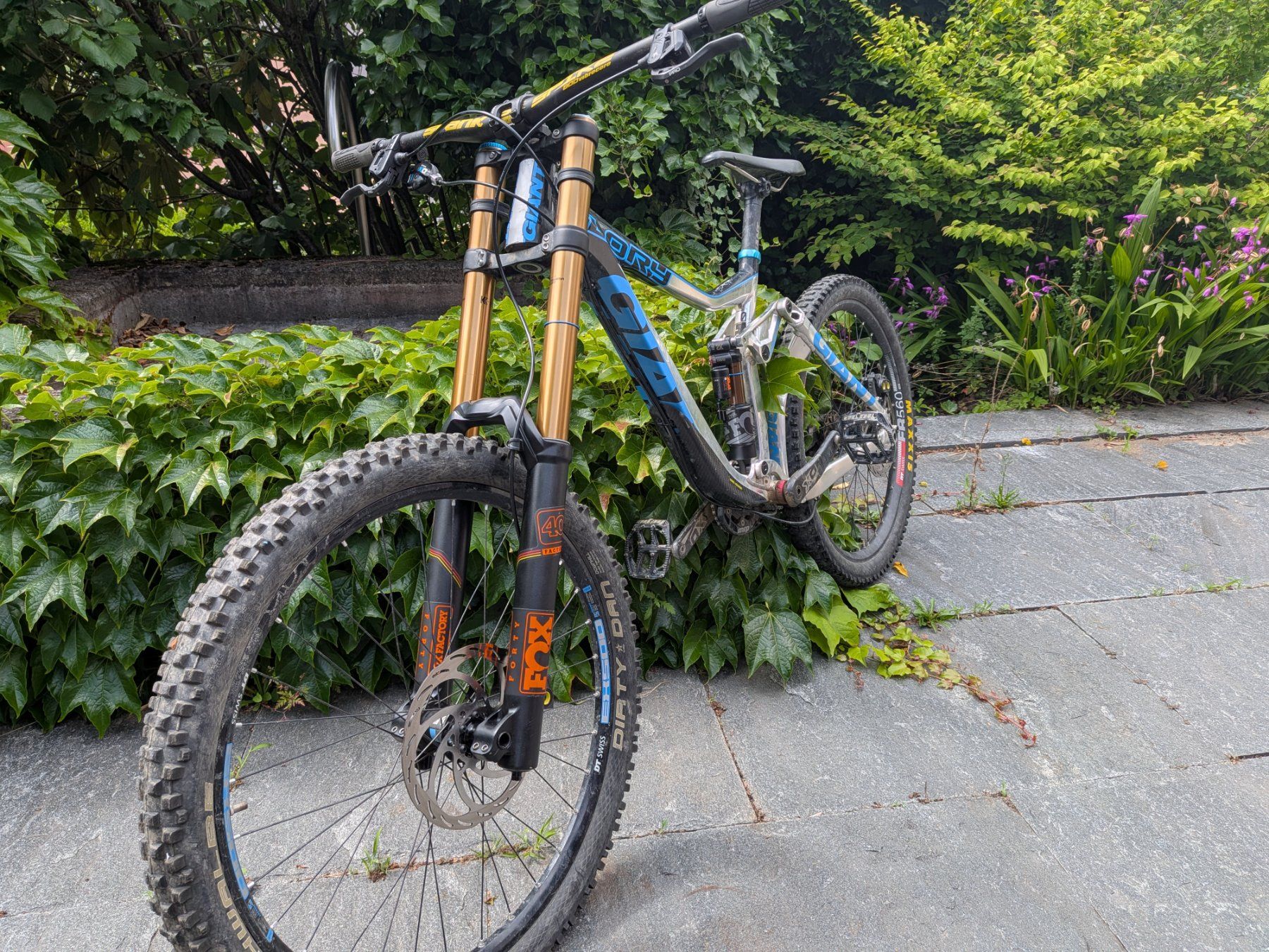 Giant Biciclette: Downhill Giant Glory L, Fox40, Fox FloatX2, Gustav Pro – Usato da Winterthur venduto da The_widi 1