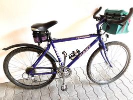 Mountainbike-Giant-Terrago