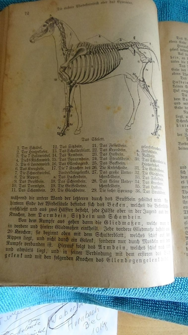 Bücher: Antikes Buch der Haustierarzt 1887 – Gebraucht aus Wiedlisbach von Bobesch10 2