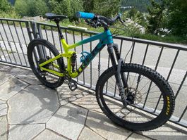TREK Remedy Grösse M/L