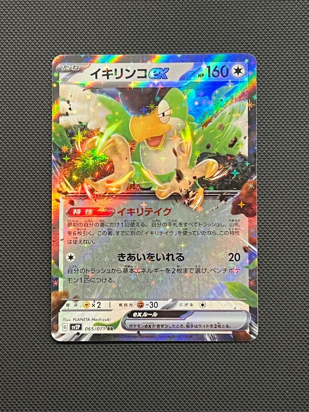 Pokémon Carte collezionabili: Pokemon Squawkabilly ex #65 - NM/MINT - Snow hazard -JAP – Usato da Pregassona venduto da X_vendeditutto 1