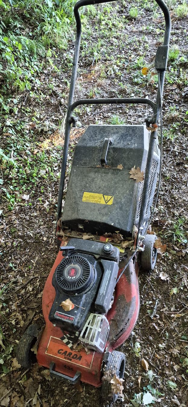 Motoren: Rasenmähermotor – Defekt aus Ebnat-Kappel von playade