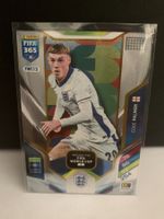 Panini Fifa 365 C. Palmer Road to Fifa World Cup FWC15